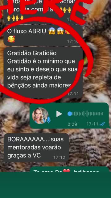 Depoimento em video
